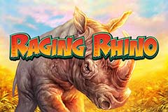 Raging Rhino